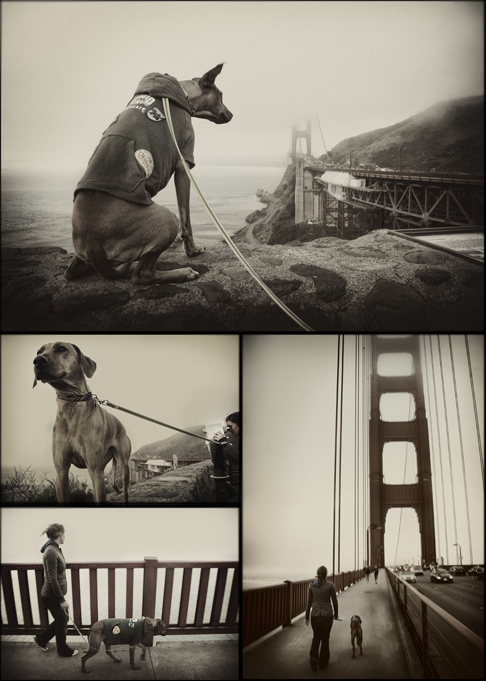 Golden Gate Bridge, 2010