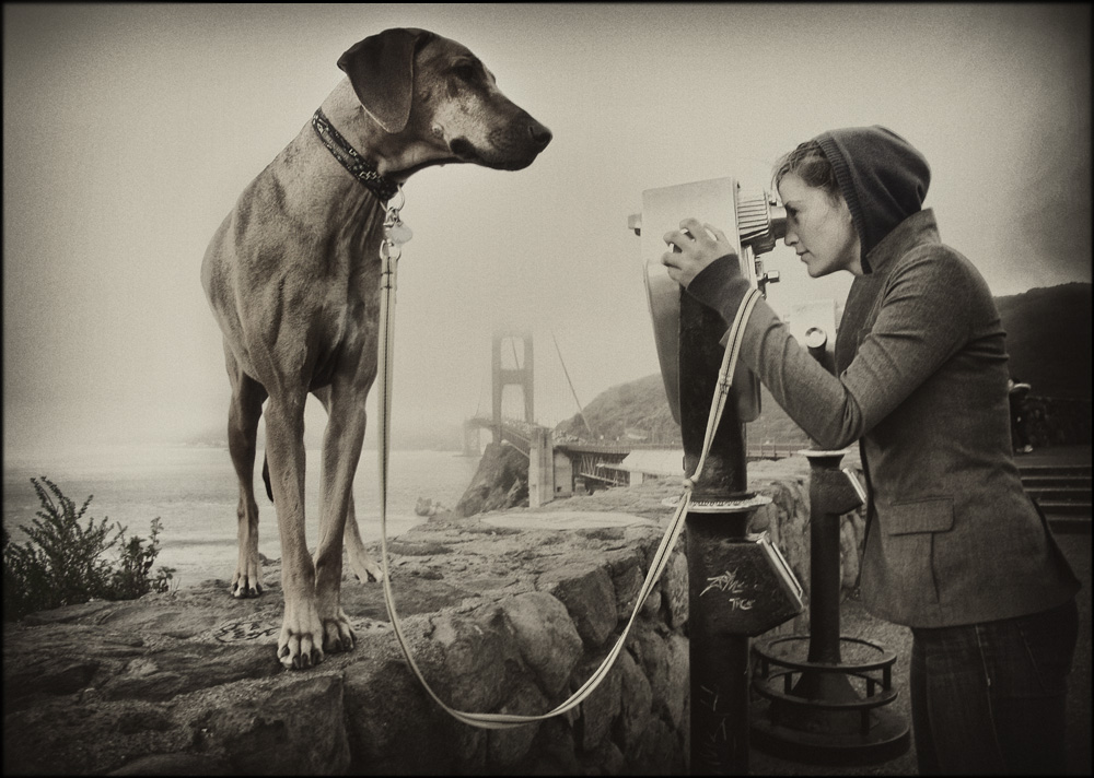 Golden Gate Bridge, 2010