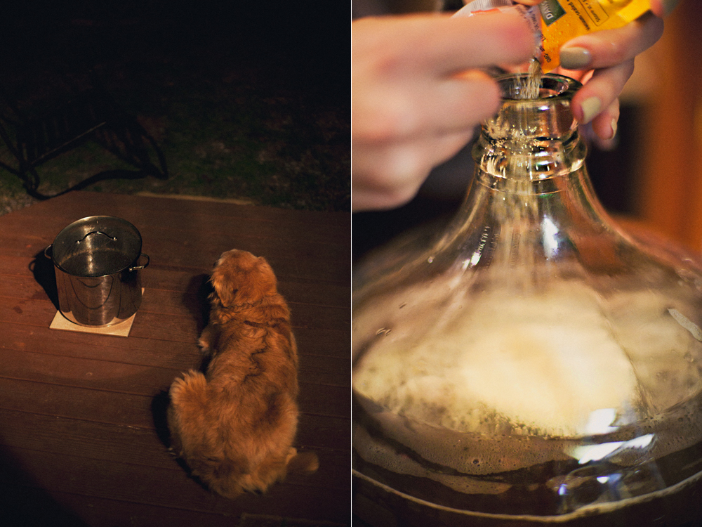 Beer Brewing - Todd Roeth