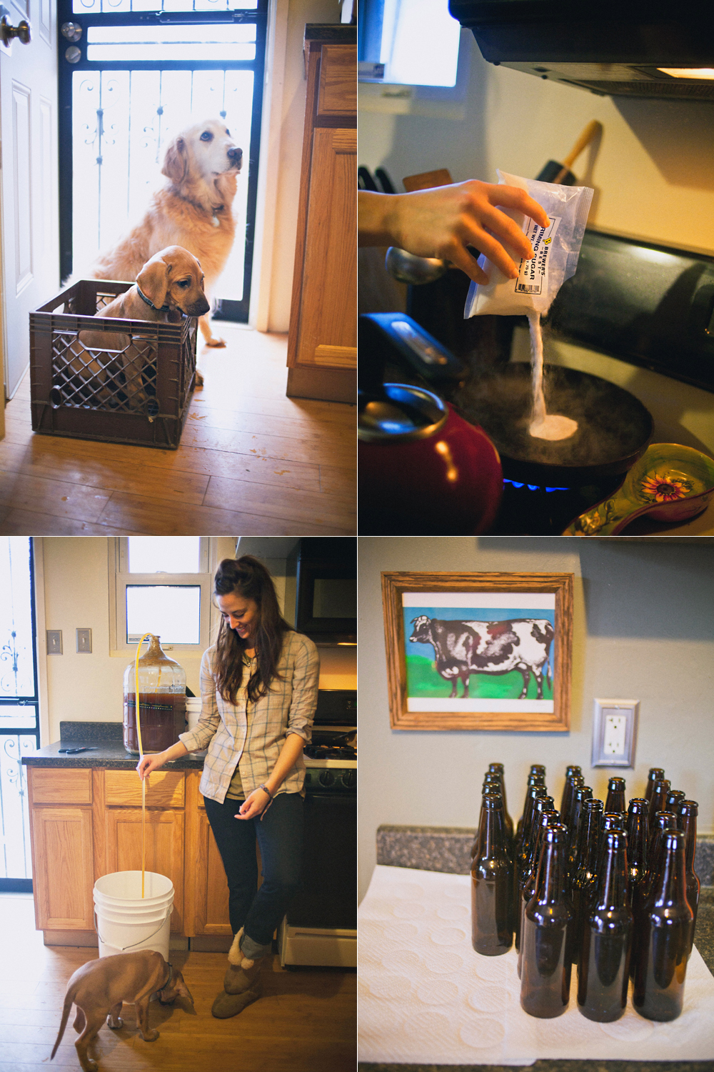 Beer Bottling - Todd Roeth