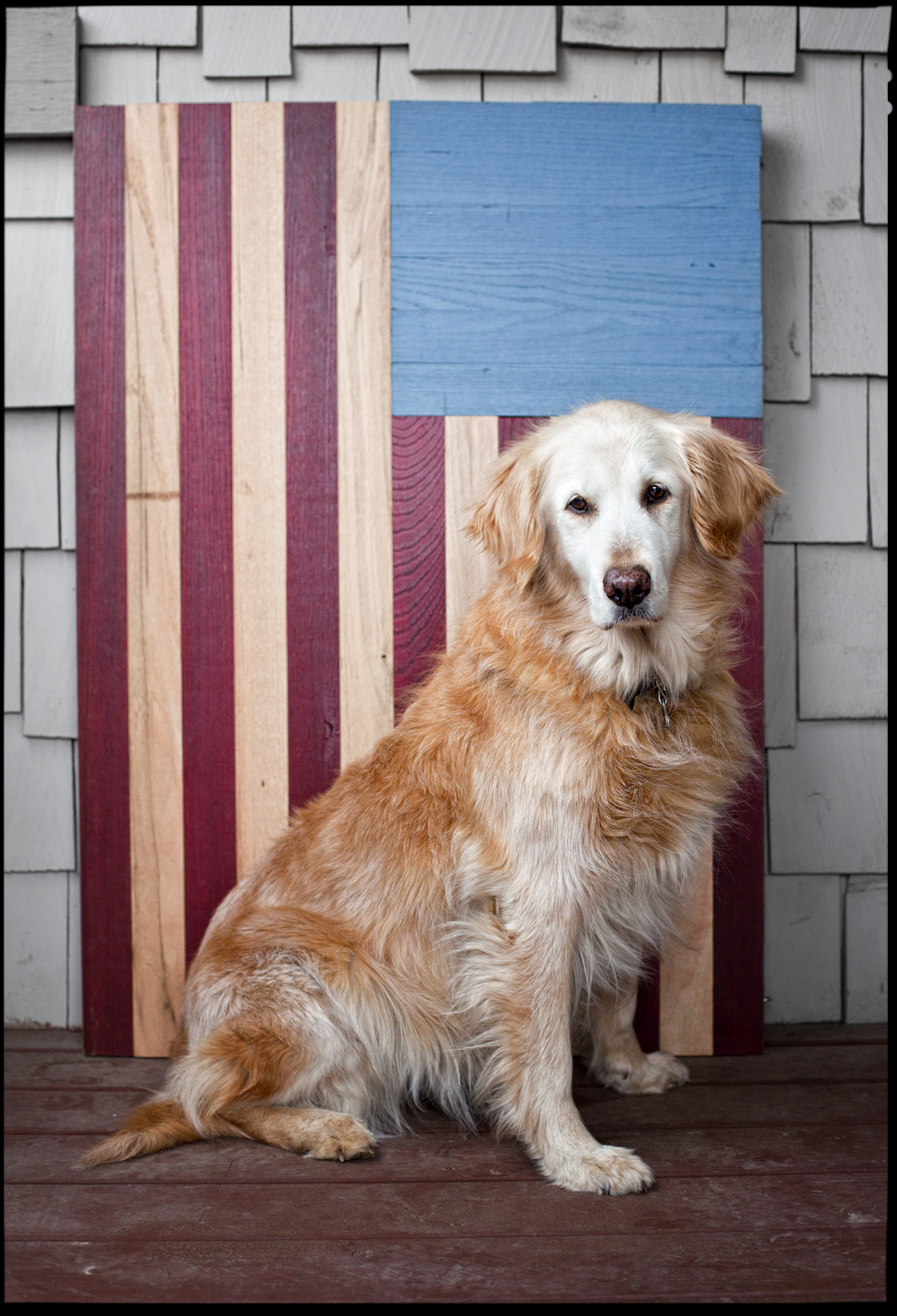 Prada, American Dog - Todd Roeth