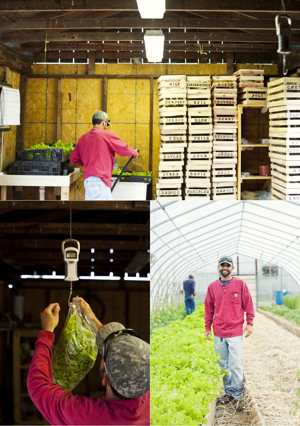 Chad Smith, West Virginia Home Grown Farms - Todd Roeth
