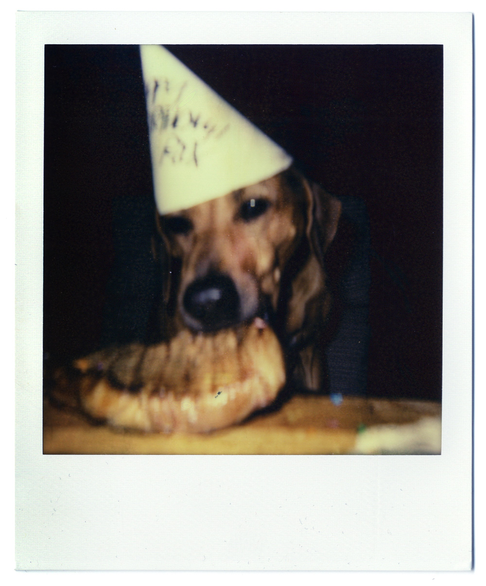 Roux's Birthday Party - Todd Roeth