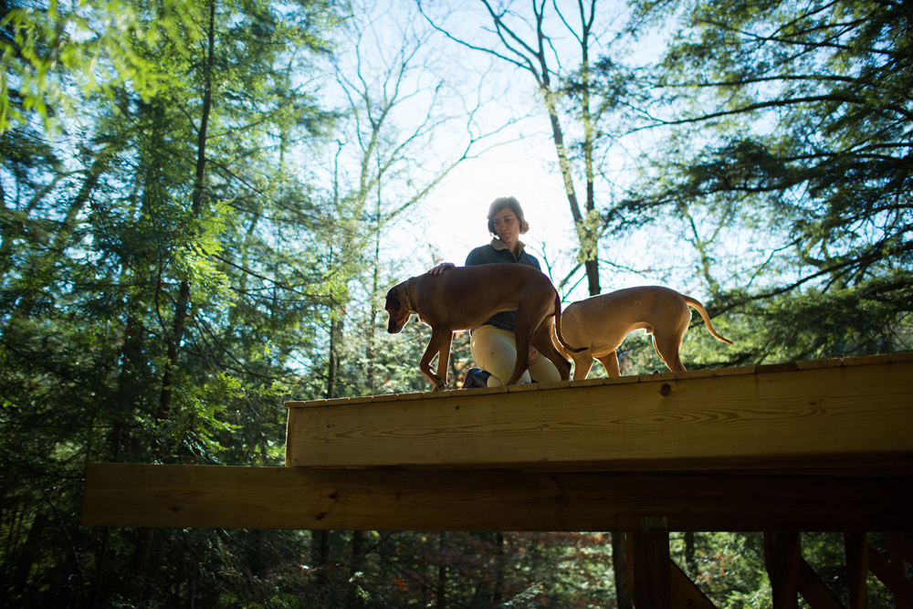 Treehouse Drawbridge Raised - Todd Roeth