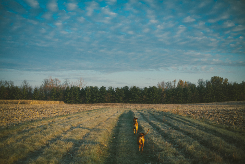 Daylight Savings - Todd Roeth