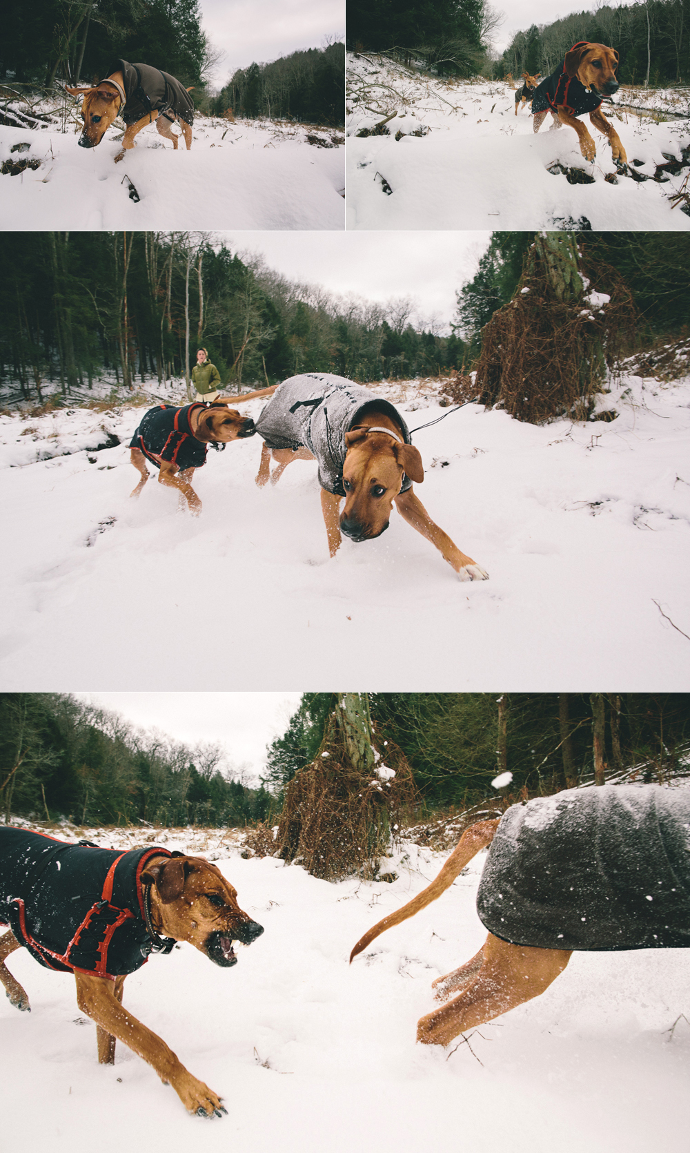 Christmas at the Cabin 2012 - Todd Roeth