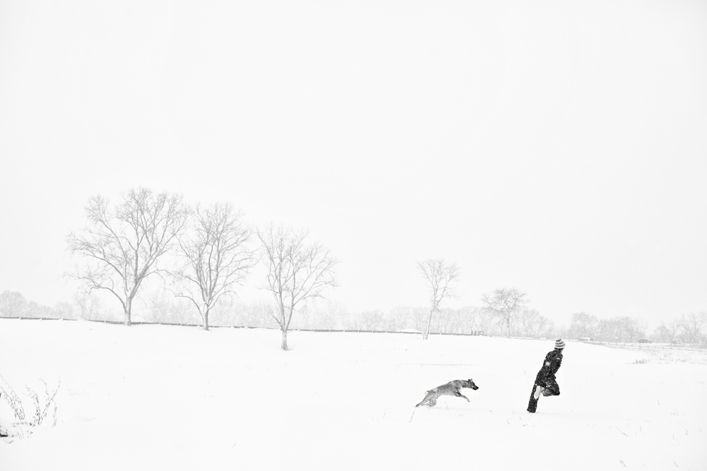 Snow Day - Todd Roeth
