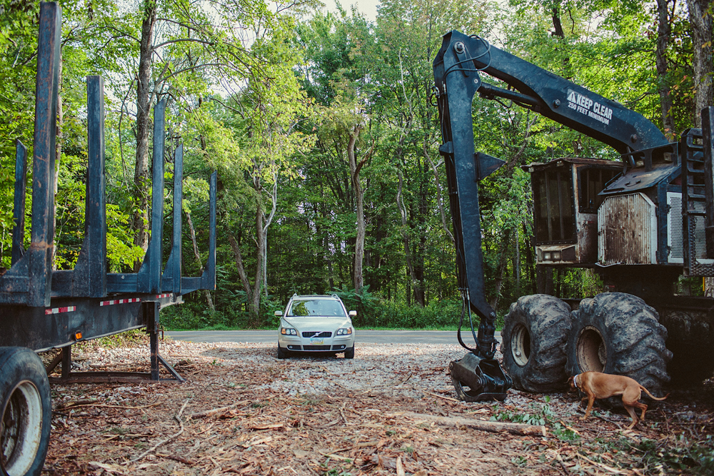 Clear Cut, Hocking Co. Ohio - Todd Roeth