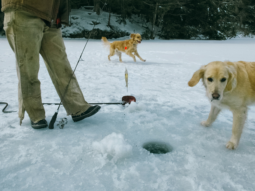 Ice Fishing, Winter 2014 - Todd Roeth