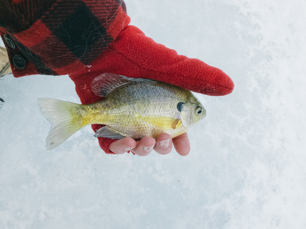 Ice Fishing, Winter 2014 - Todd Roeth