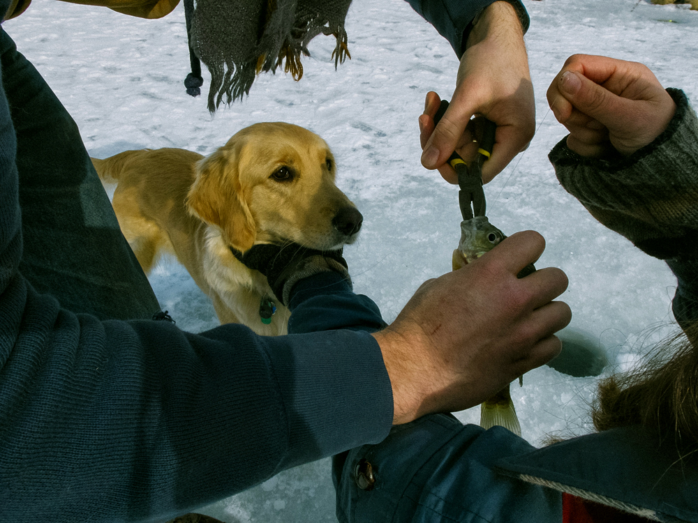 Ice Fishing, Winter 2014 - Todd Roeth