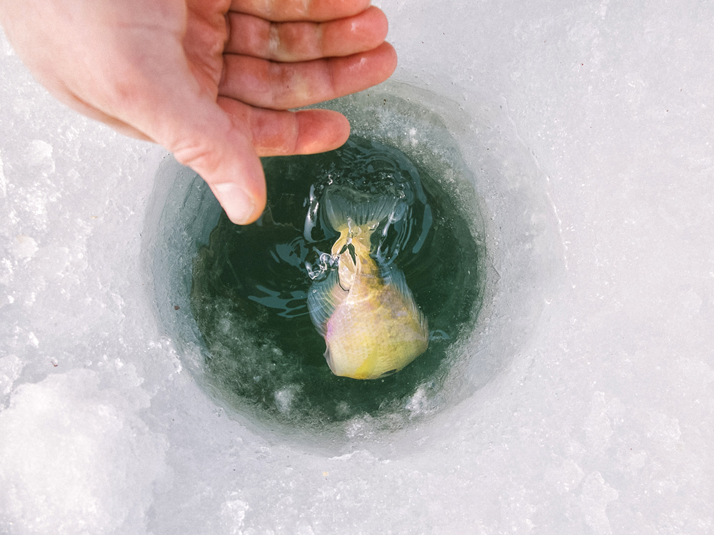 Ice Fishing, Winter 2014 - Todd Roeth