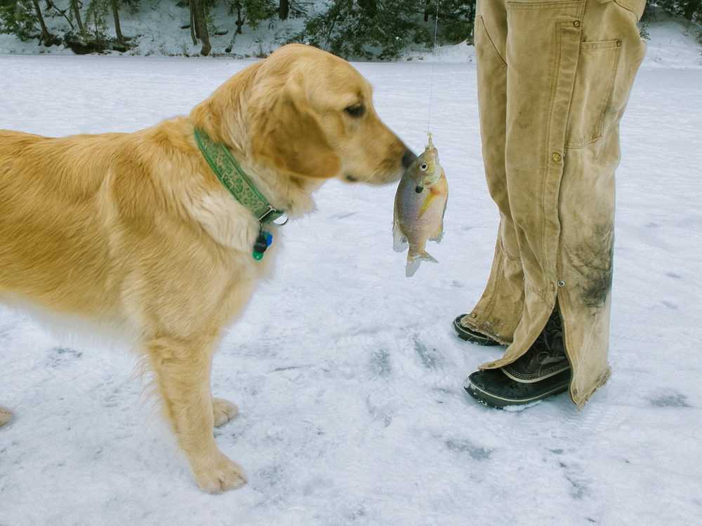 Ice Fishing, Winter 2014 - Todd Roeth