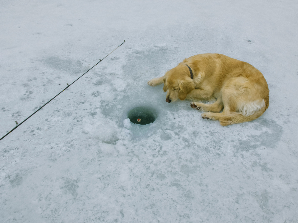 Ice Fishing, Winter 2014 - Todd Roeth