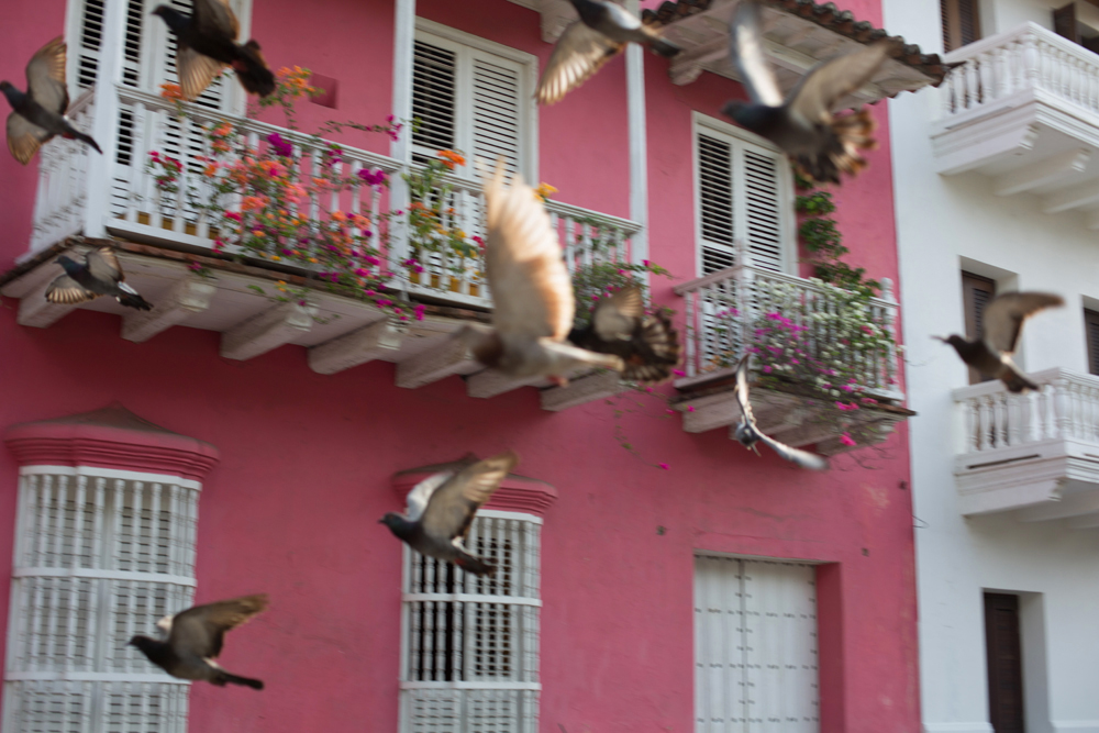 Cartegena, Colombia - Todd Roeth