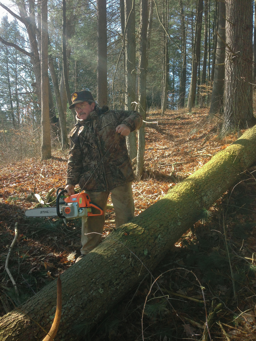 Treehouse Construction - Todd Roeth