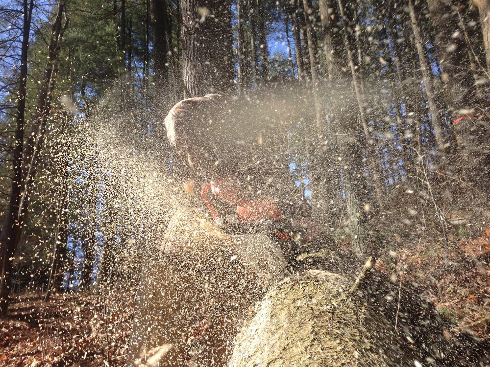 Treehouse Construction - Todd Roeth