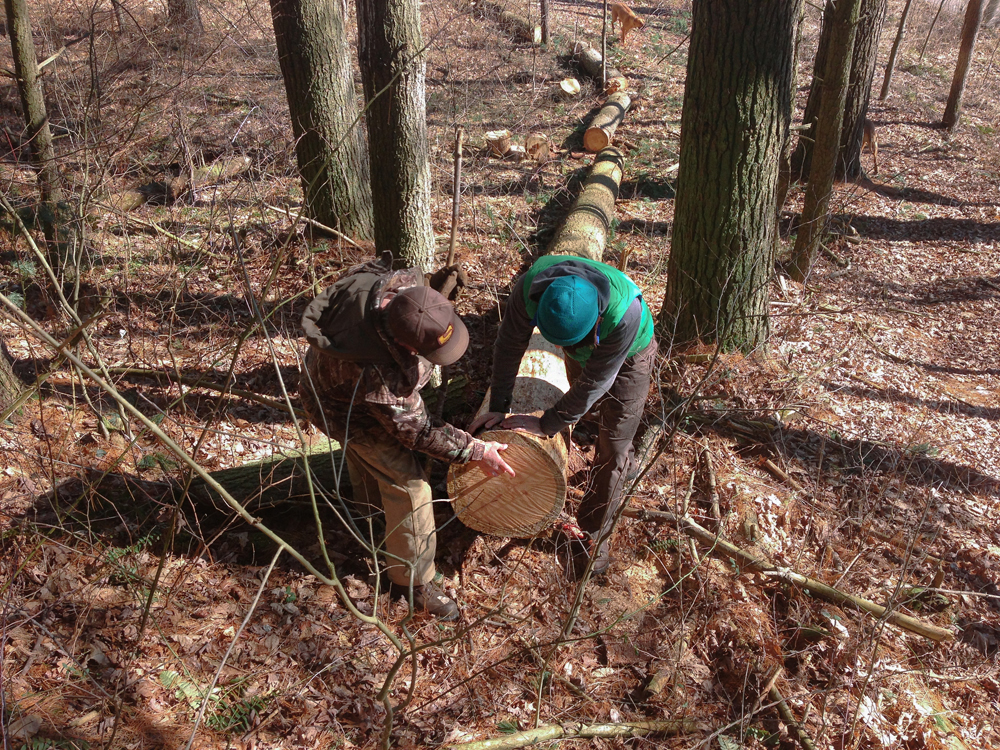 Treehouse Construction - Todd Roeth