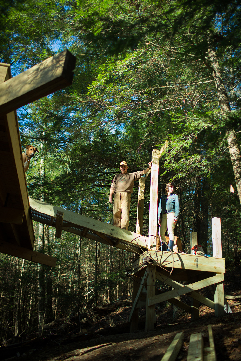 Treehouse Drawbridge Raised - Todd Roeth