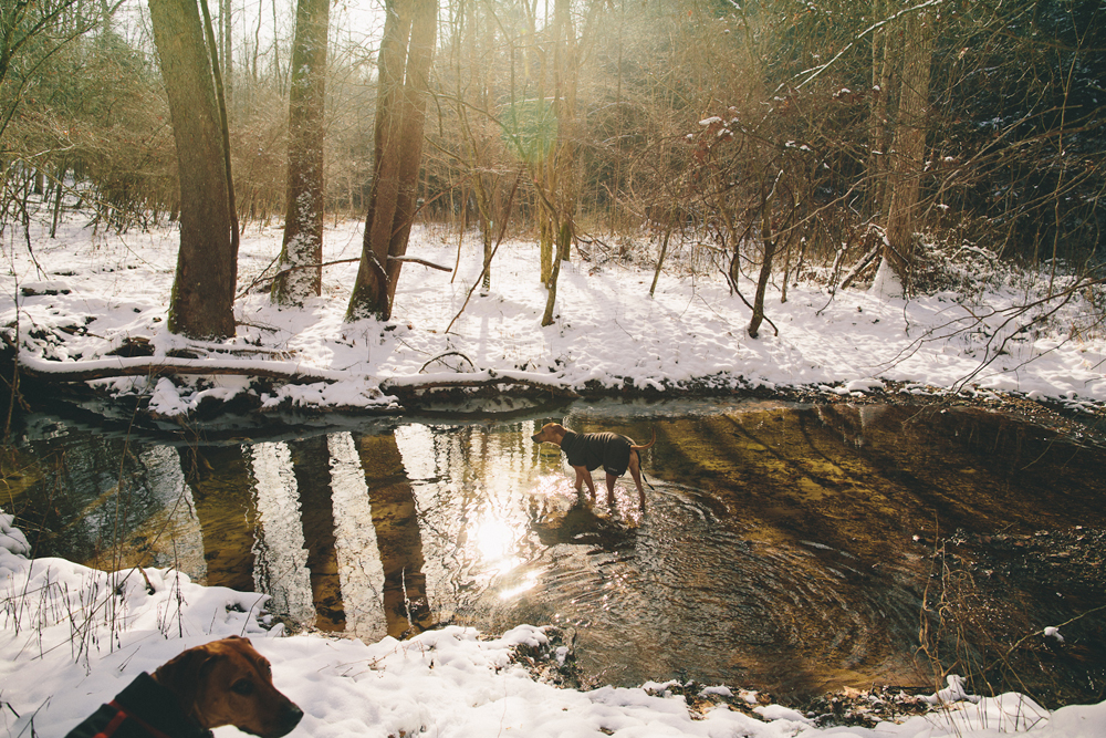 Christmas at the Cabin 2012 - Todd Roeth