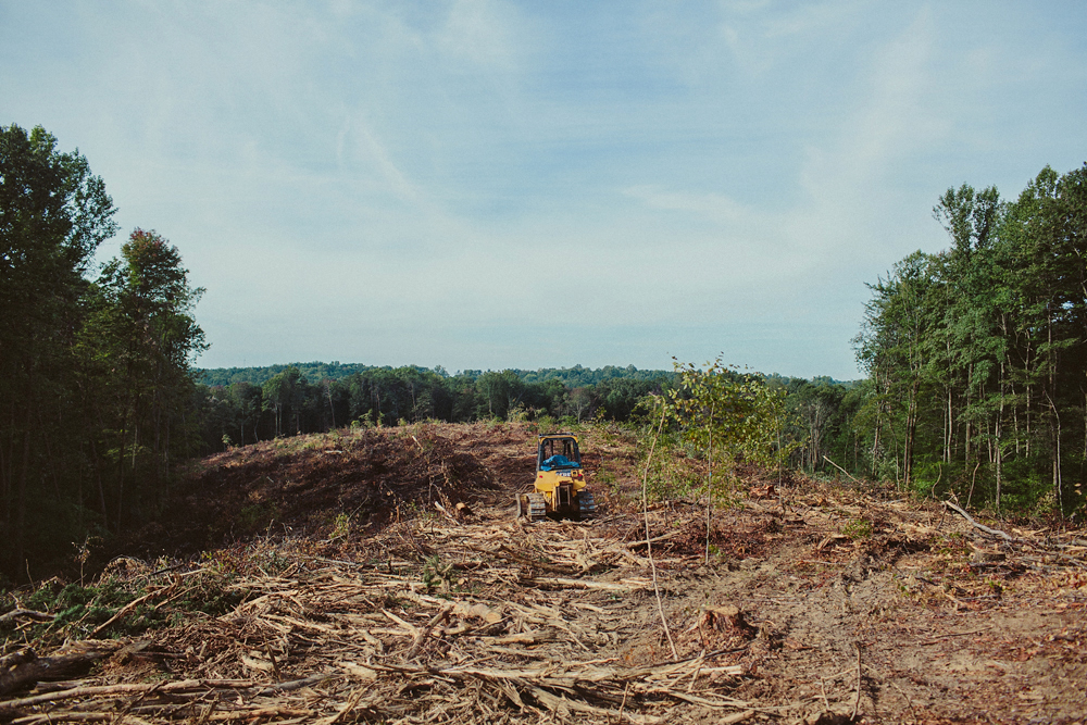 Clear Cut, Hocking Co. Ohio - Todd Roeth