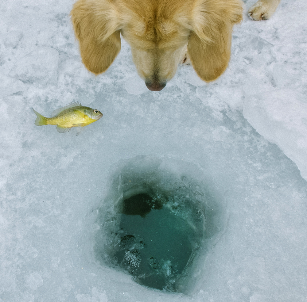 Ice Fishing, Winter 2014 - Todd Roeth