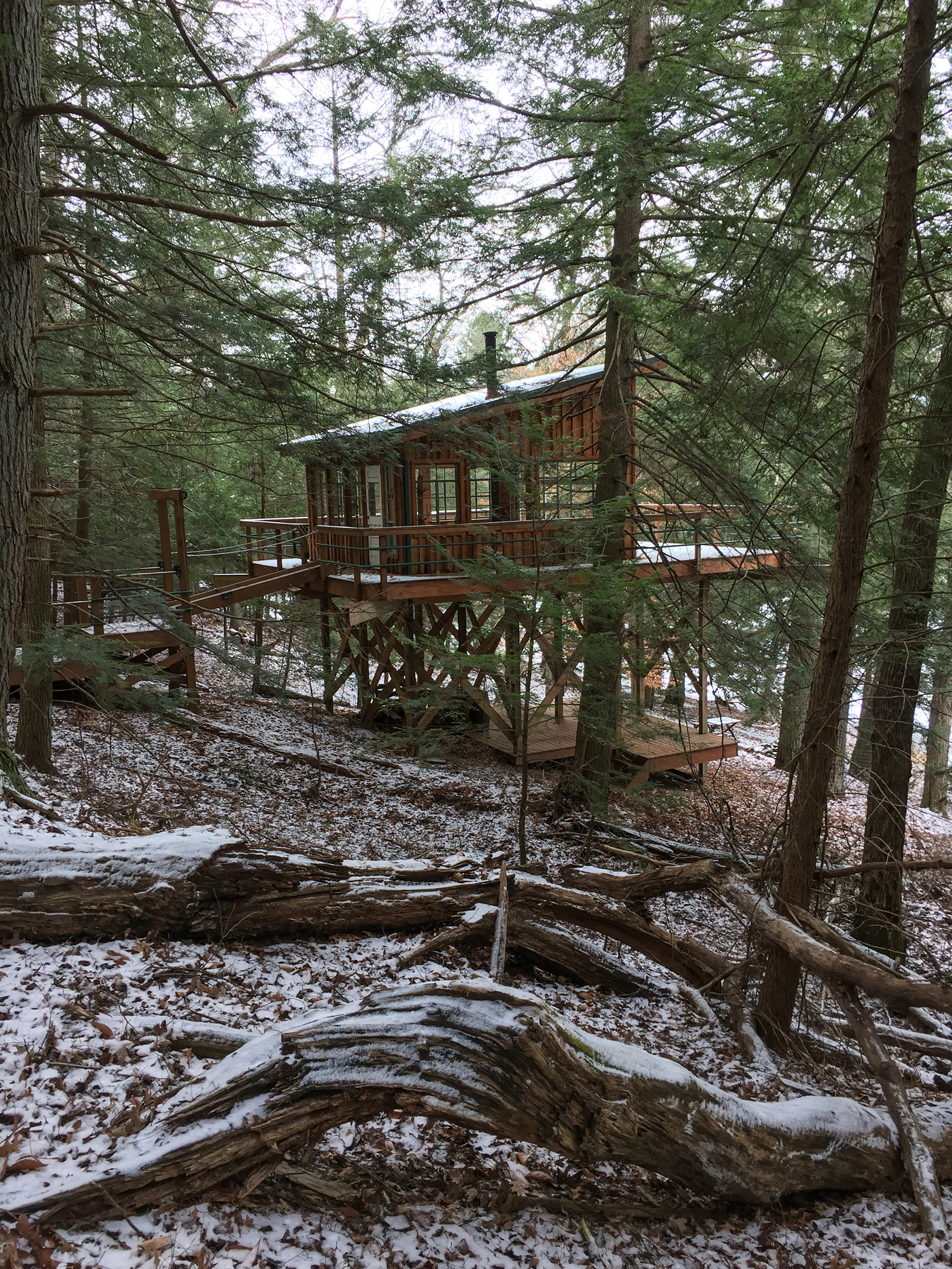 First Snow at Treehouse - Todd Roeth